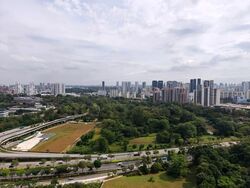 Normanton Park (D5), Apartment #530913491
